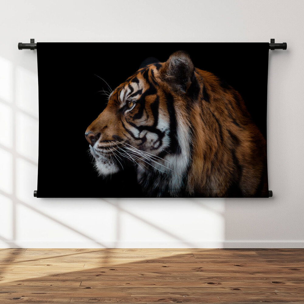 Prachtig zijaanzicht van Sumatraanse tijger