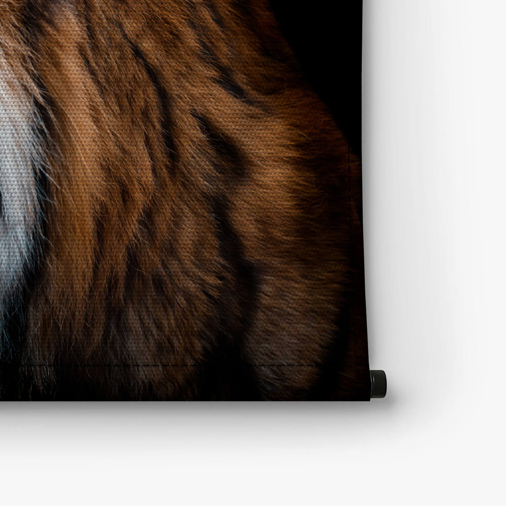 Prachtig zijaanzicht van Sumatraanse tijger