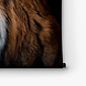 Prachtig zijaanzicht van Sumatraanse tijger