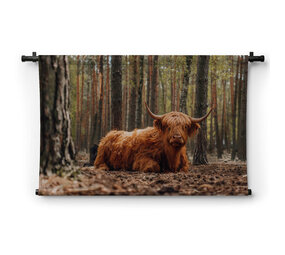 Schotse hooglander liggend in het bos