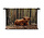 Schotse hooglander liggend in het bos
