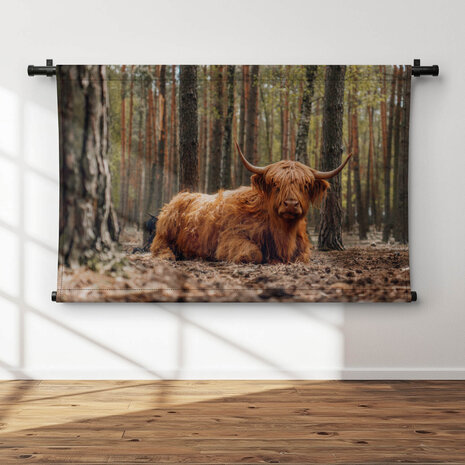 Schotse hooglander liggend in het bos