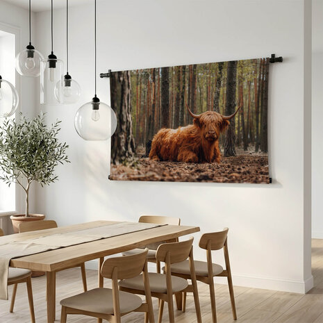 Schotse hooglander liggend in het bos