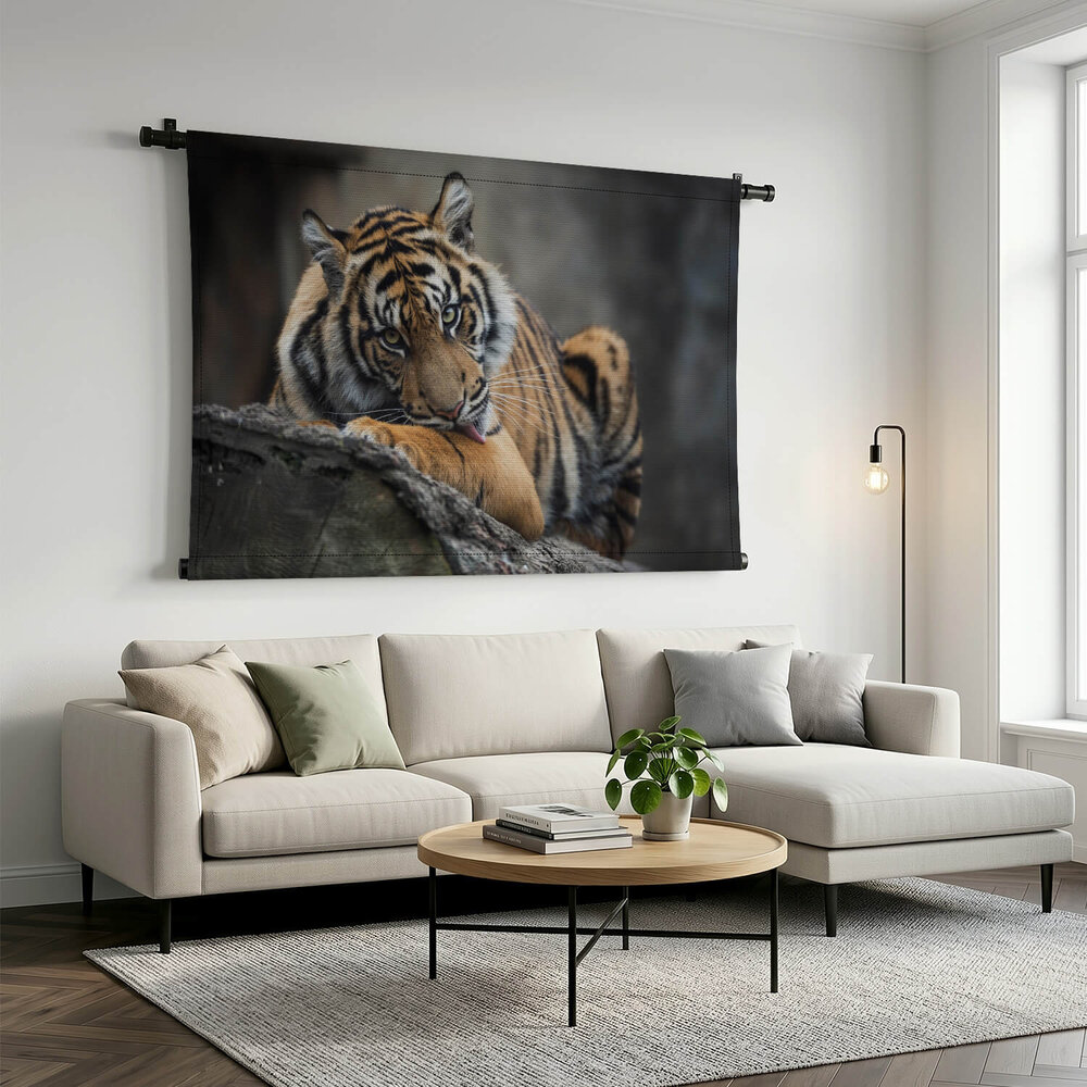 Krachtige tijger op de rotsen