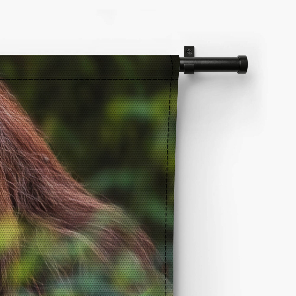 Orang-oetan verscholen achter bladeren