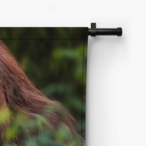 Orang-oetan verscholen achter bladeren