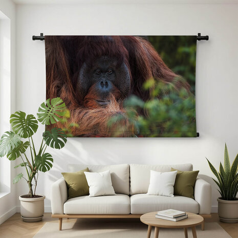 Orang-oetan verscholen achter bladeren
