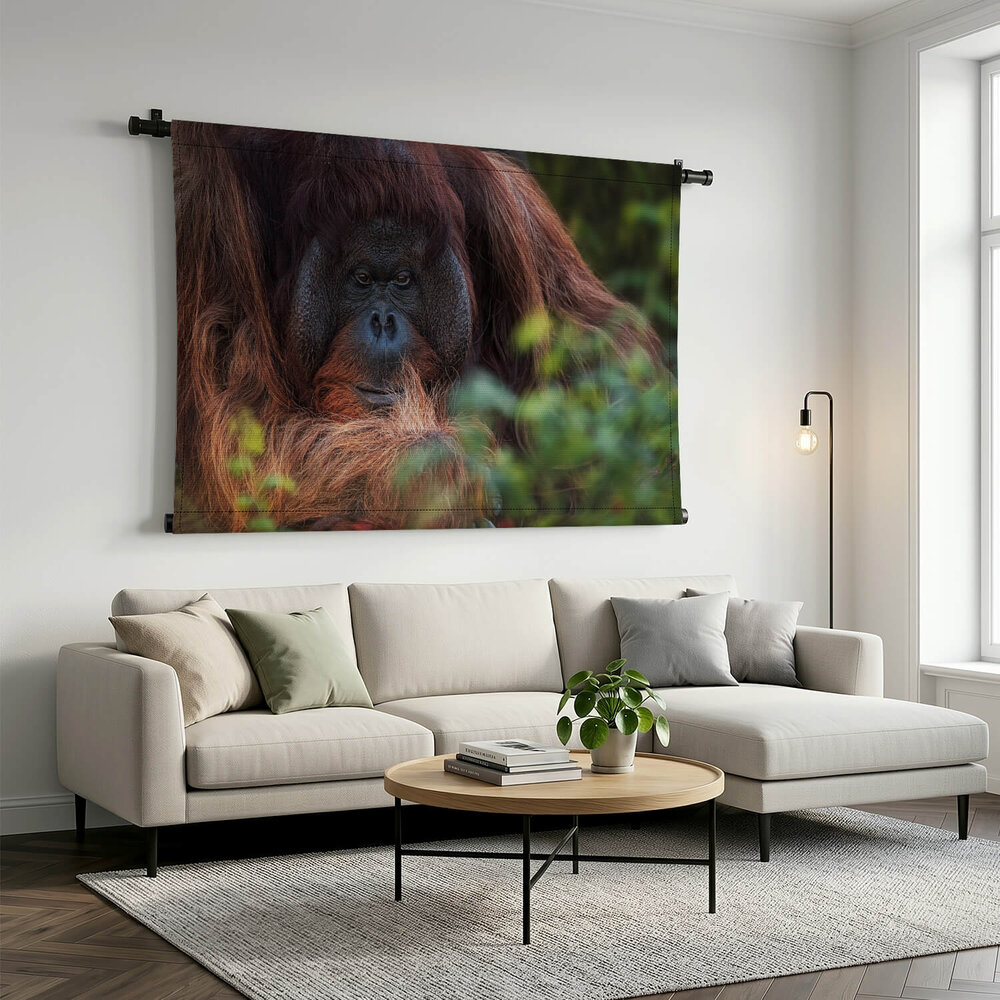 Orang-oetan verscholen achter bladeren