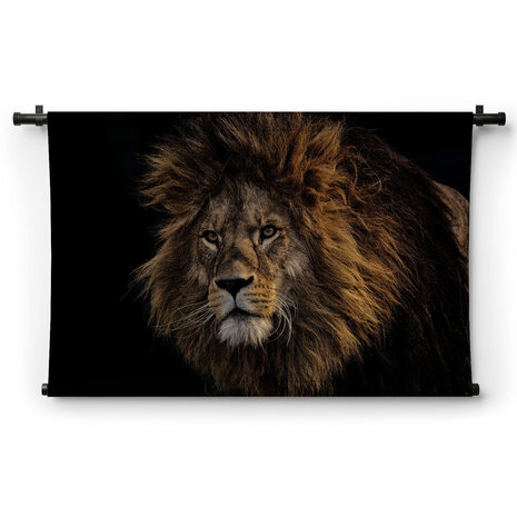 Wilde leeuw als koning van de jungle