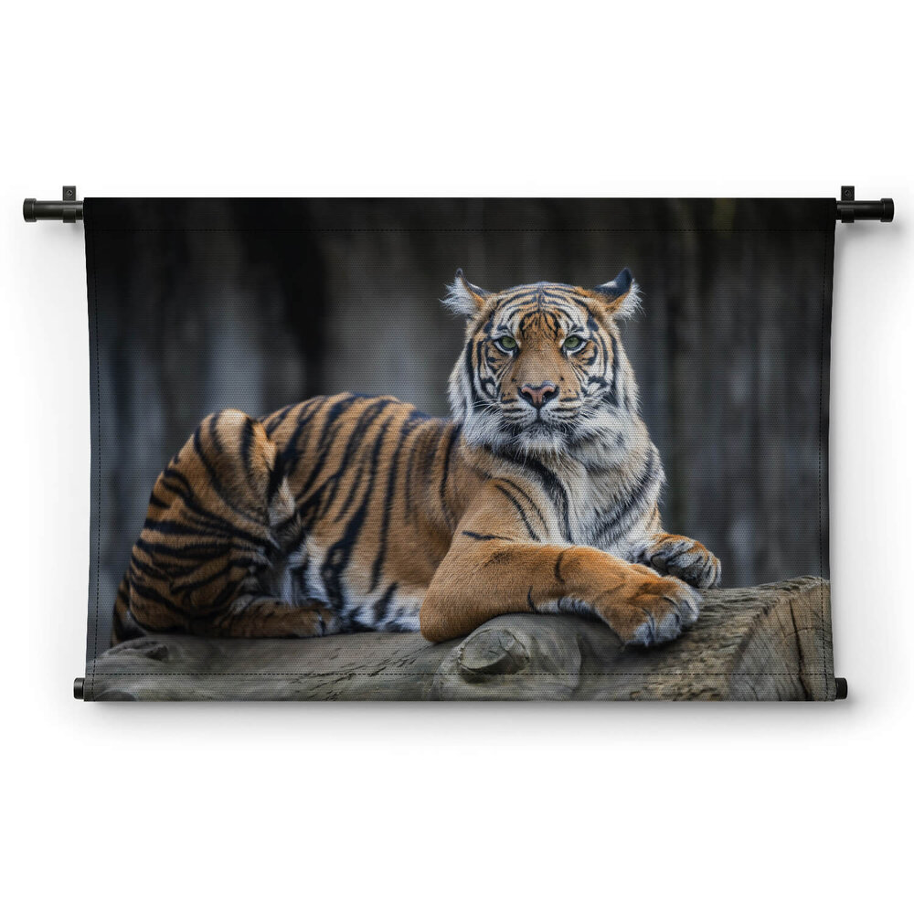 Tijger rustend op een gevelde boomstam