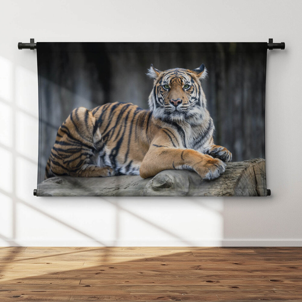 Tijger rustend op een gevelde boomstam