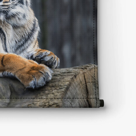 Tijger rustend op een gevelde boomstam