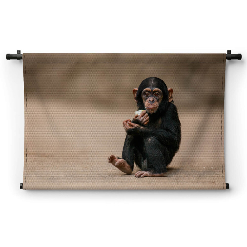 Jonge chimpansee gehurkt op de grond