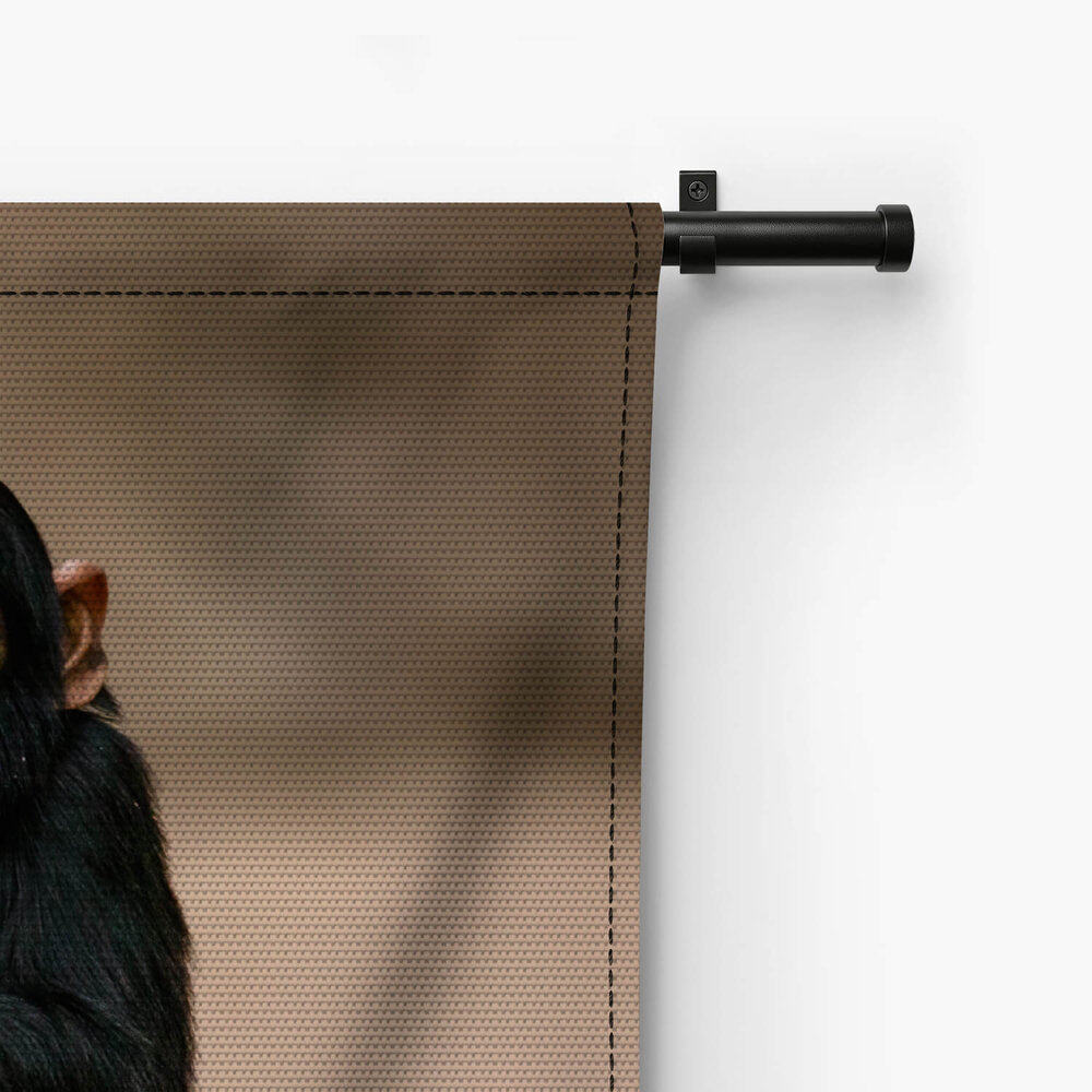 Jonge chimpansee gehurkt op de grond