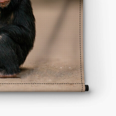Jonge chimpansee gehurkt op de grond