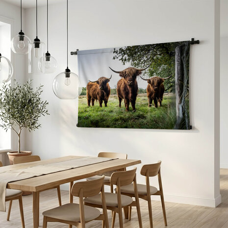 Drie Schotse hooglanders in de wei