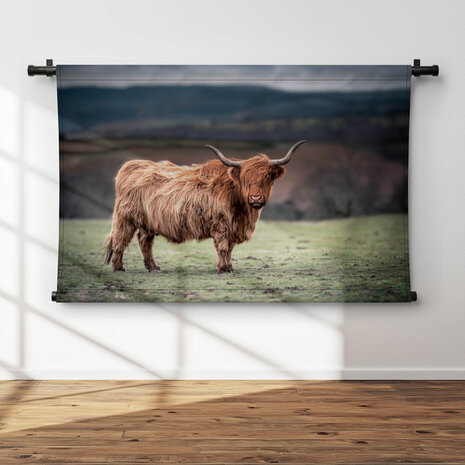 Schotse hooglander grazend op het platteland van Zuid-Wales