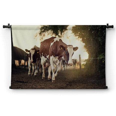 Statige koeien bij de boerderij