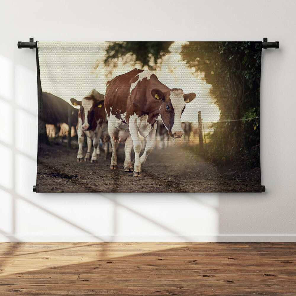 Statige koeien bij de boerderij