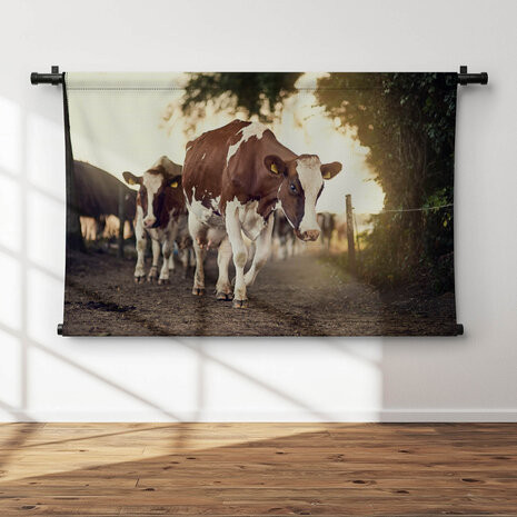 Statige koeien bij de boerderij