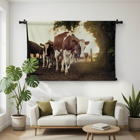 Statige koeien bij de boerderij