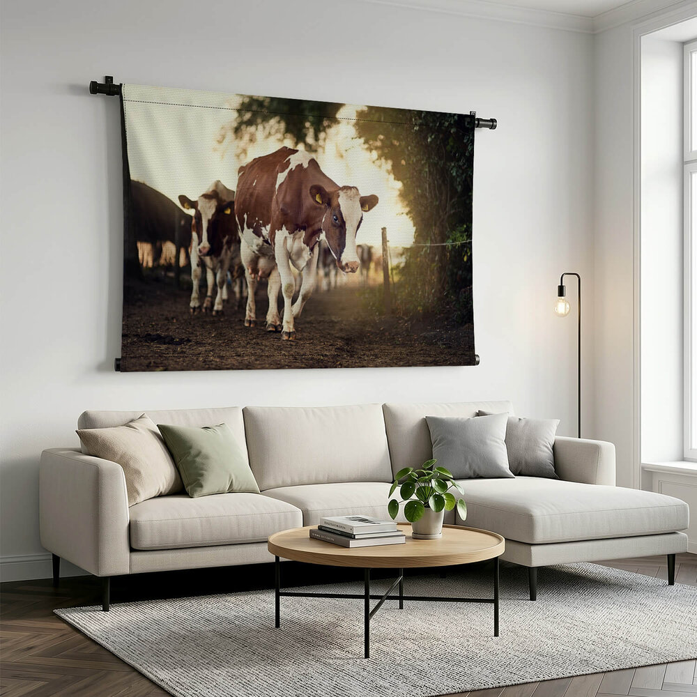 Statige koeien bij de boerderij
