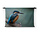 Rustgevende ijsvogel op een boomtak