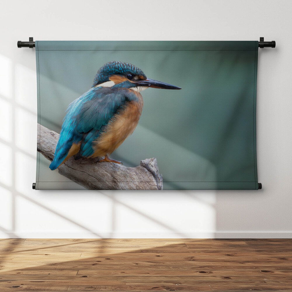 Rustgevende ijsvogel op een boomtak