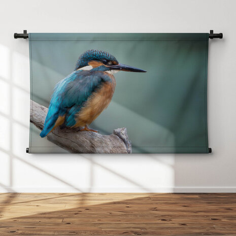 Rustgevende ijsvogel op een boomtak