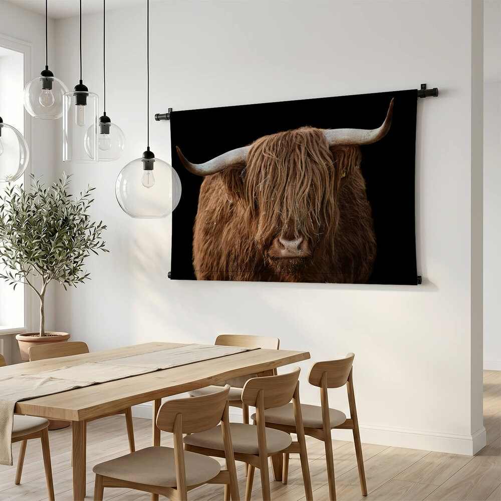 Schotse hooglander van dichtbij