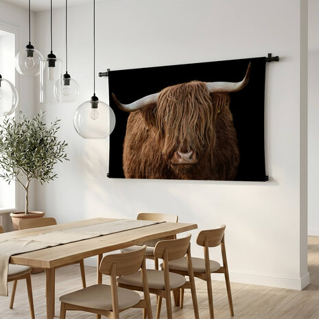 Schotse hooglander van dichtbij