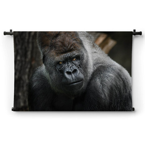 Volwassen zilverrug gorilla dreigende blik