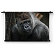 Volwassen zilverrug gorilla dreigende blik