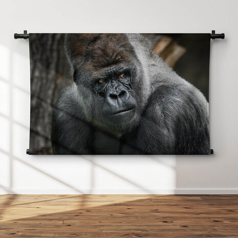 Volwassen zilverrug gorilla dreigende blik