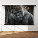 Volwassen zilverrug gorilla dreigende blik