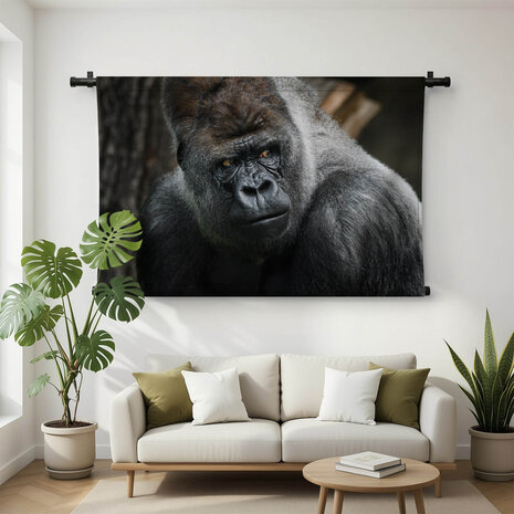Volwassen zilverrug gorilla dreigende blik