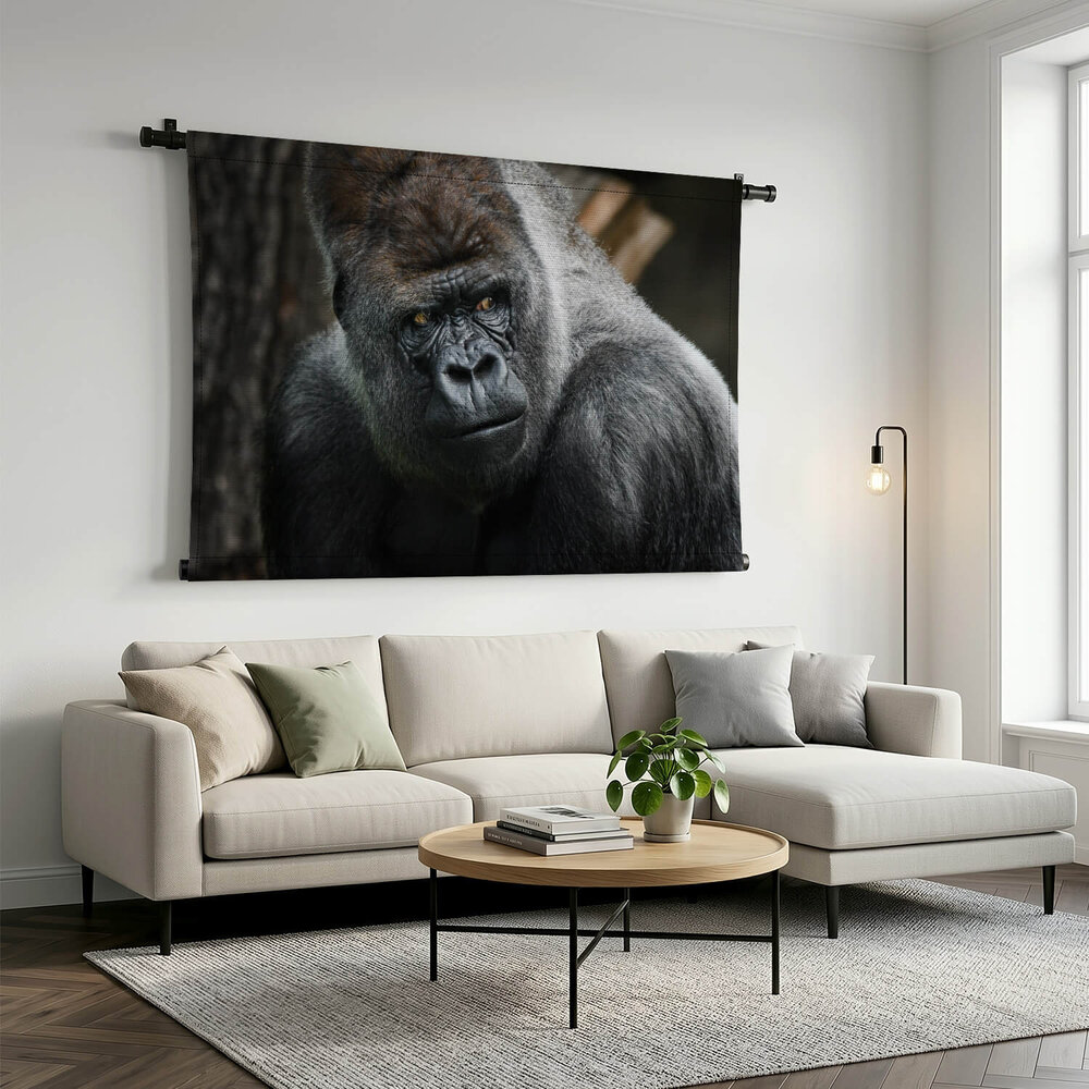 Volwassen zilverrug gorilla dreigende blik