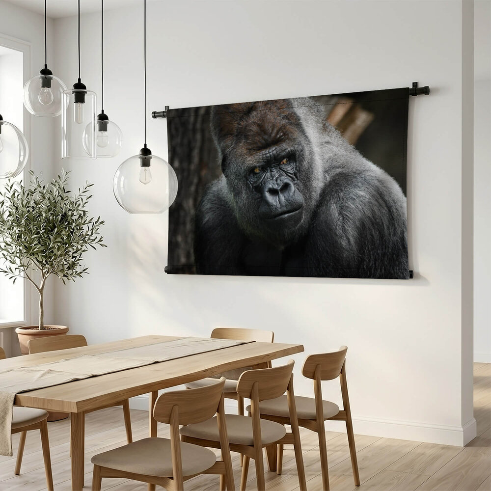 Volwassen zilverrug gorilla dreigende blik