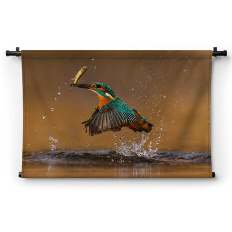 Snelheidswonder ijsvogel met visvangst