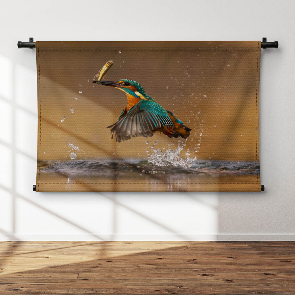 Snelheidswonder ijsvogel met visvangst