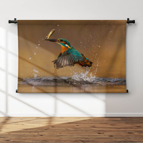 Snelheidswonder ijsvogel met visvangst