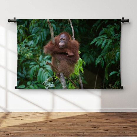 Orang-oetan op de uitkijk