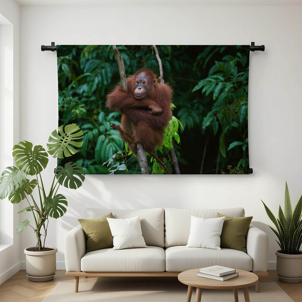 Orang-oetan op de uitkijk