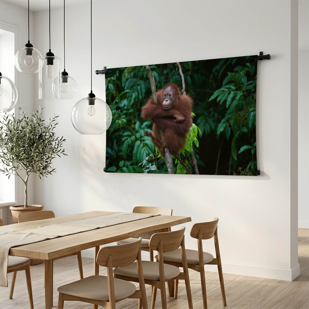 Orang-oetan op de uitkijk