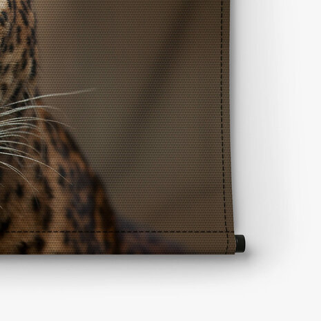 Close-up van een schitterend luipaard