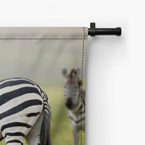 Volwassen zebra in Tanzania