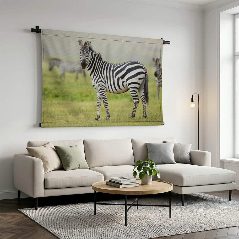 Volwassen zebra in Tanzania