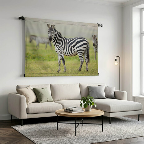 Volwassen zebra in Tanzania