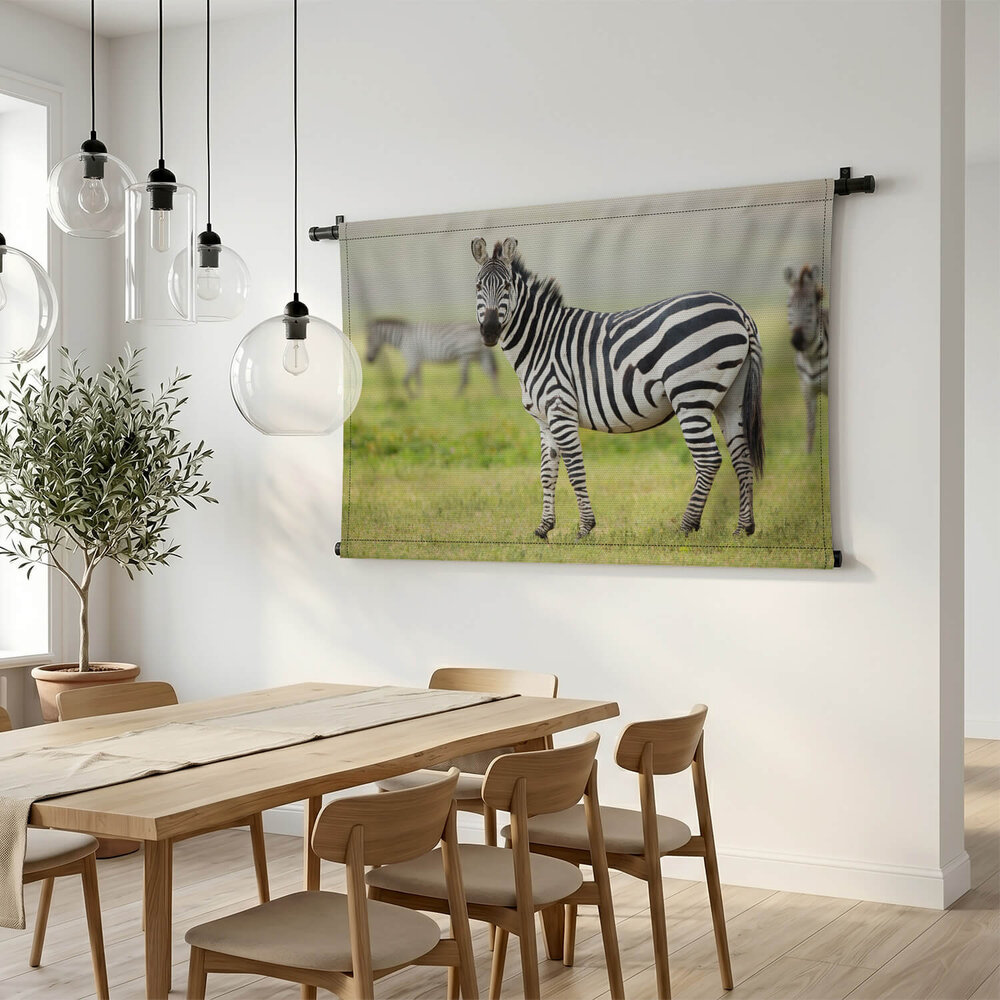 Volwassen zebra in Tanzania