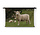 Vrolijk schaap